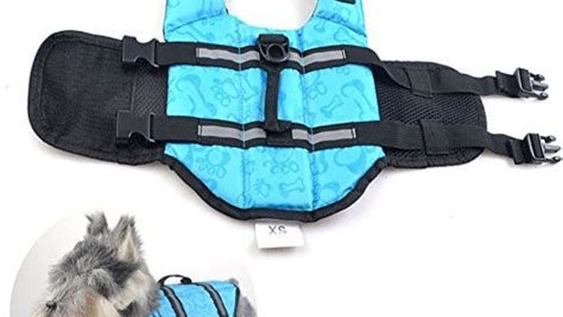 螺杆冷水机选型：关键指标与选型逻辑解析