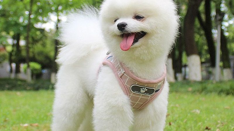 冷库板厚度，如何精准计算？**