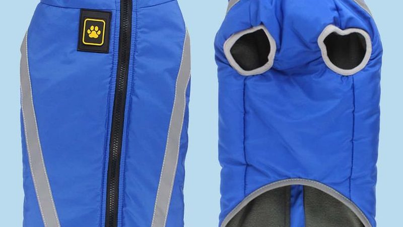 模块化风冷制冷机组：揭秘其核心技术与选型要点